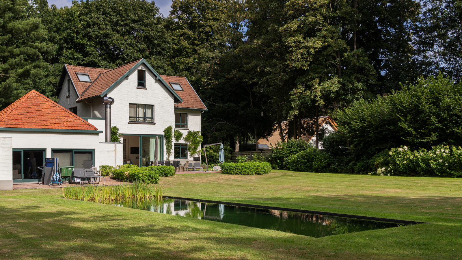 Natuurlijke zwemvijver in edegem